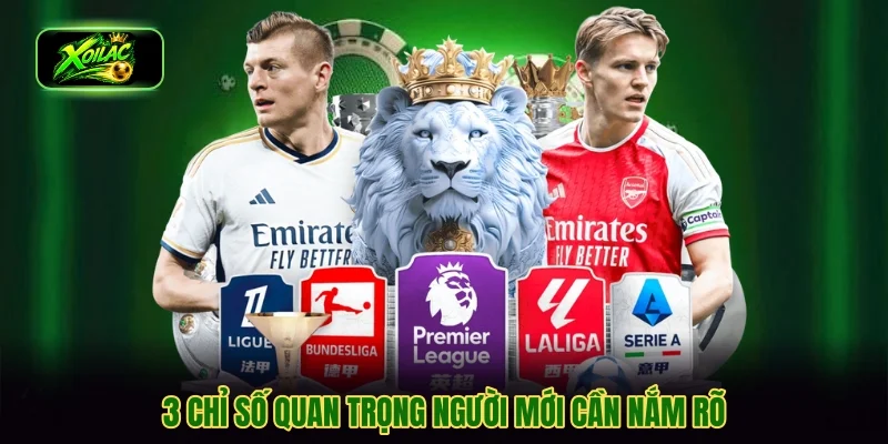3 chỉ số quan trọng người mới cần nắm rõ
