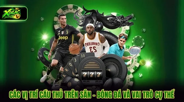 các vị trí cầu thủ trên sân