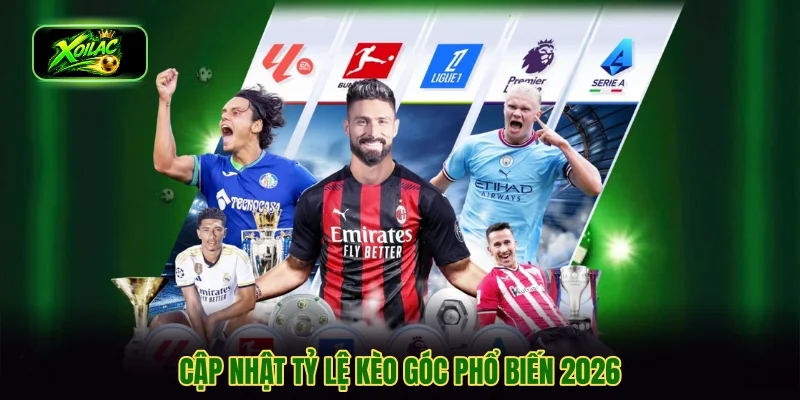 Cập nhật tỷ lệ kèo góc phổ biến 2026