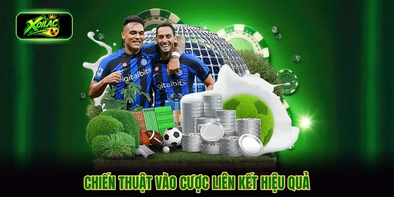 Chiến thuật vào cược liên kết hiệu quả