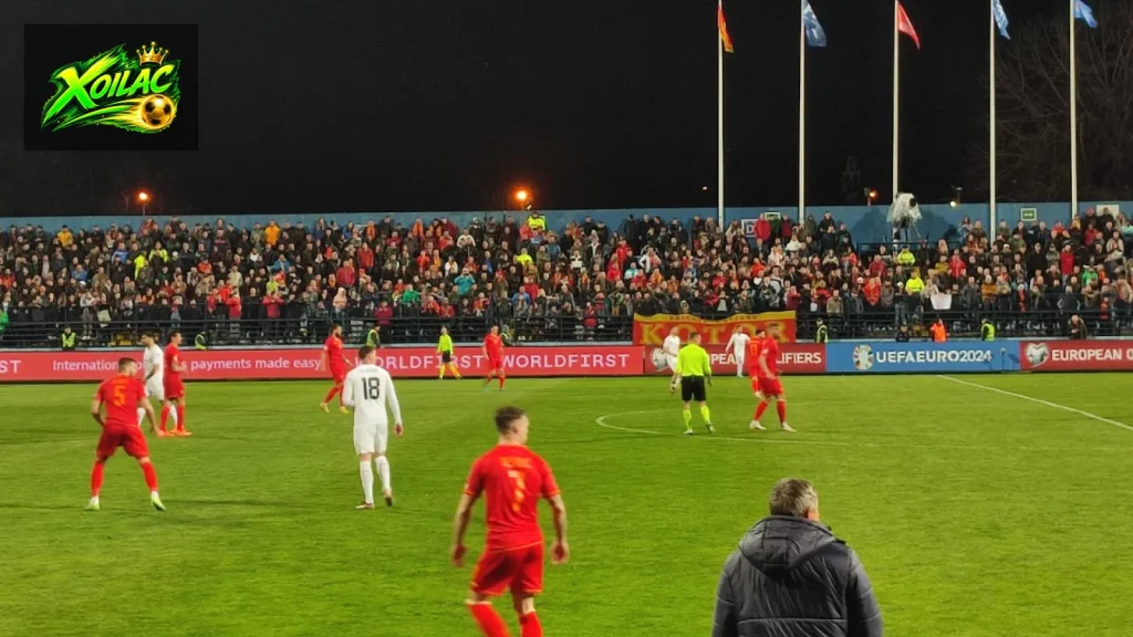 Đội tuyển Serbia trong trận gặp Montenegro ở vòng loại EURO 2024