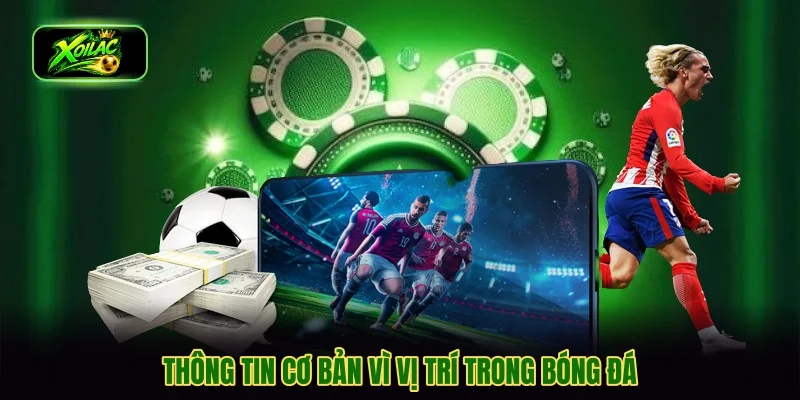Thông tin cơ bản vì vị trí trong bóng đá