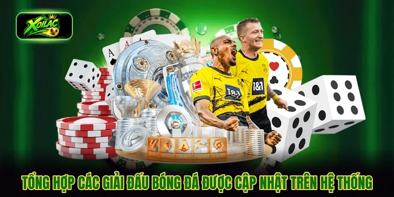 Tổng hợp các giải đấu bóng đá được cập nhật trên hệ thống