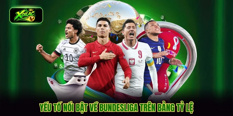 Điểm qua những nét độc đáo của Buldesliga